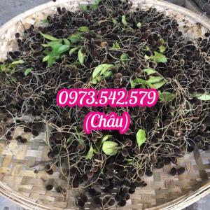 Say rim muối ớt hộp 1kg