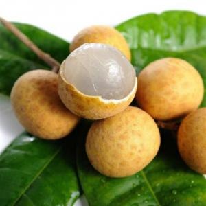 Cây giống nhãn muộn, giống cây nhãn muộn, nhãn muộn Hà Tây, nhãn muộn hưng yên.