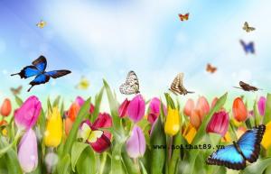 Tranh Gạch Ốp Bếp