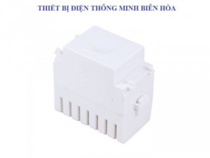 Công Tắc Điều Khiển Từ Xa Bằng Remote