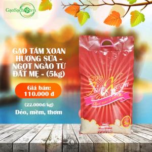 Gạo Tám Xoan