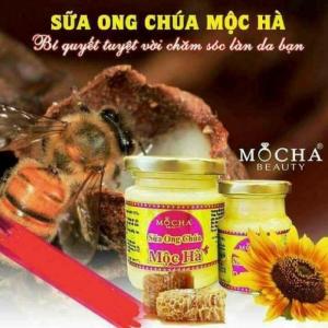 Sữa ong chúa Mộc Hà