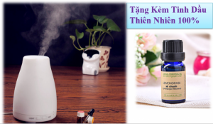 Tặng Kèm Tinh dầu