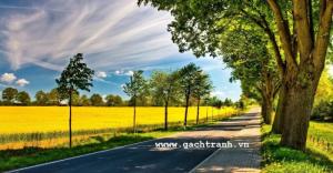 Tranh ốp tường , tranh rừng cây