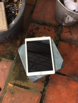 IPad Air2 64Gb có 4G màu Gold 99%
