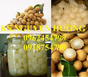 Cây giống nhãn muộn, cây nhãn sớm, nhãn indo (nhãn thái ido), nhãn hạt lép, nhãn xuồng cơm, nhãn lồng