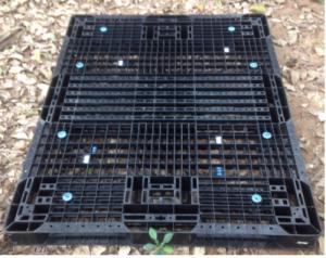 Pallet nhựa cũ thanh lý giá rẻ 1300x1100x120 mm