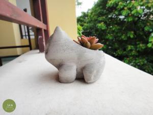 Chậu Cây sen đá pokemon