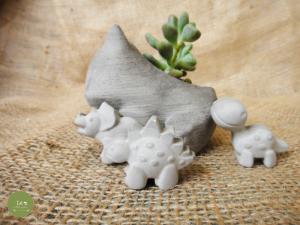 Chậu Cây sen đá pokemon