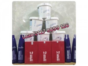 Cặp dầu gội và xả khử ánh vàng cho tóc bạch kim elgon silver 300ml x 2