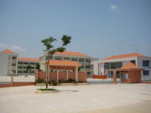 Cần sang gấp 2 lô đất Tổng DT 300m2 và 16 phòng trọ