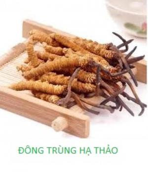 IBPHARCO chuyên cung cấp các nguyên liệu làm đẹp từ thiên nhiên
