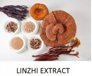 Cao linh chi Linzhi Extract