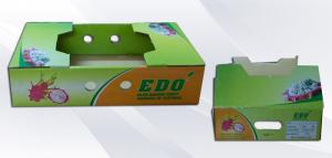thùng carton thanh long 5 , 7 lớp in offset chất lượng cao - hinh 3