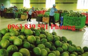 sóng 26 bánh xe đựng bưởi