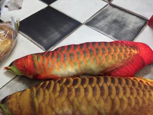 Gối cá rồng 3D