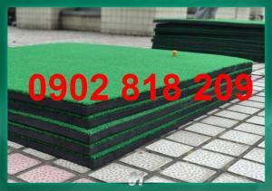 Thảm tập golf 2D