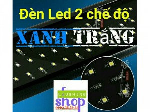 Đèn Led hồ cá 2 chế độ