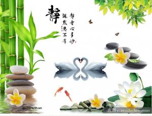 Gạch tranh 3d phũ bóng