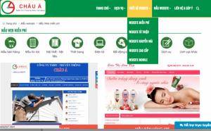 Thiết Kế WEBSITE Giá Rẻ,Logo, Banner, Đăng Tin Hot nổi trang 1