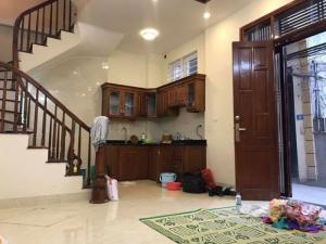Siêu nóng ô tô đỗ cửa nhà mới đét 5 tầng DT 30m² mặt tiền 6m Hoàng Mai.