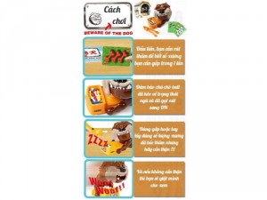 Gắp xương chó bull
