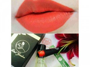 Rose Đỏ Cam