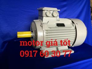 Động cơ motor điện giá rẻ tại Cà Mau