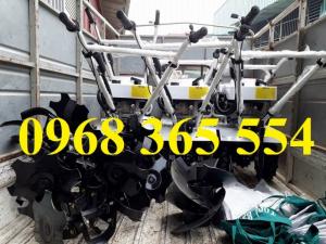 Máy làm đất đa năng trâu vàng giá rẻ nhất trên thị trường