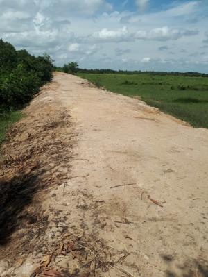Sang nhượng hơn 1000ha đất Tân Lập, Đức Huệ, Long An
