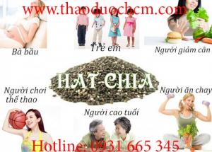 Địa chỉ mua bán hạt chia úc uy tín chất lượng nhất tp hcm