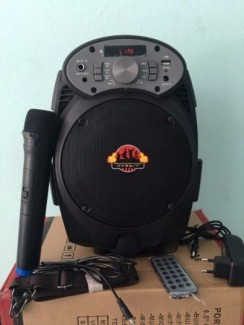 Loa karaoke mini-loa bluetooth -loa karaoke xách tay tặng 2 mic