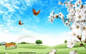 gạch tranh 3d hoa cỏ