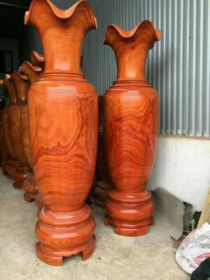 Lục bình gỗ hương nam phi