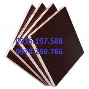 Ván cốp pha phủ phim quận 1