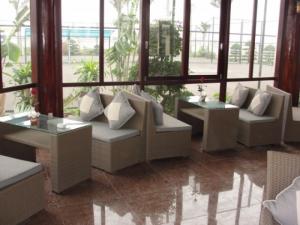 Bàn ghế giả mây phục vụ cho mọi không gian. sản phẩm làm bằng khung sắt sơn tĩnh điện