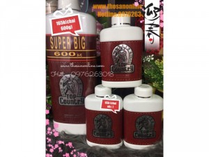 Phấn Rôm Con Ngựa Pop Country Thái Lan ( Chai Khổng Lồ 600Gram)