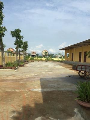 cho thuê đất tại thanh hóa