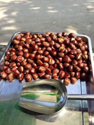 Đặc Sản Hạt Dẻ Rang, Sấy Trùng Khánh Cao Bằng bán buôn bán lẻ Toàn Quốc