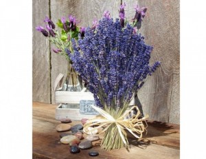 Hoa Khô Lavender, Hoa Oải Hương Khô tượng trưng cho sự thủy chung trong tình yêu - MSN1831030