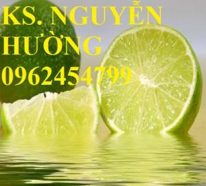 Chuyên cung cấp giống cây chanh không hạt, hàng chuẩn, giá tốt, giao cây toàn quốc.
