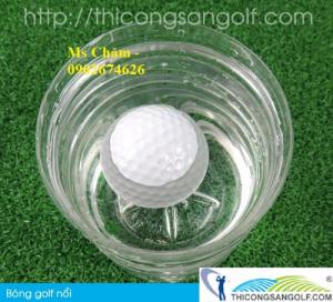 Bóng golf và thiết bị golf