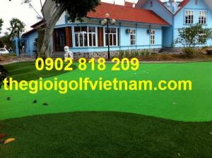 Thảm Cỏ golf nhân tạo trải sàn, cỏ sân chơi trẻ em