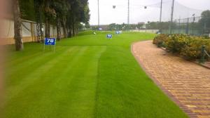 Thảm Cỏ golf nhân tạo trải sàn, cỏ sân chơi trẻ em