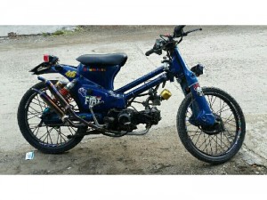 Cub 50 độ