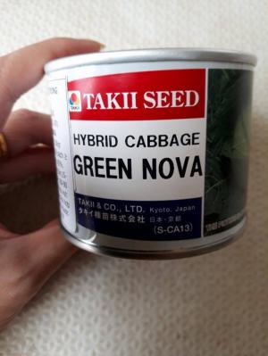 Hạt giống bắp cải Green Nova Takii