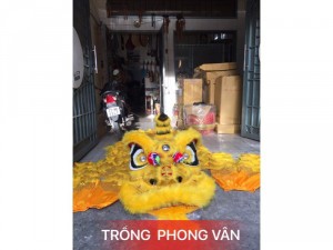 Đầu kì lân kim sa màu vàng