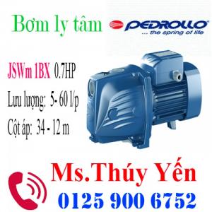 Máy bơm nước mini gia đình hút sâu đẩy cao Pedrollo JSWM 1BX 0.7HP - 100% chính hãng
