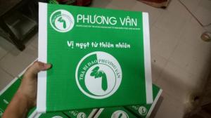 Giảm cân nhanh nhờ bí đao