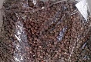 Hạt chuối rừng